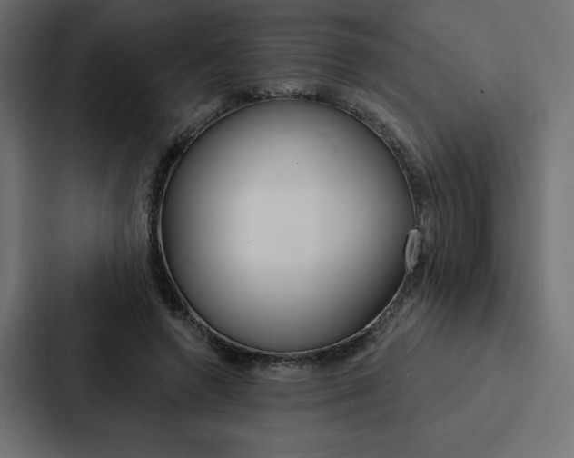 X0000088180546200705150941