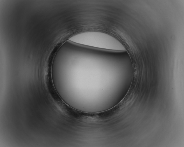 X0000088180548200705150941