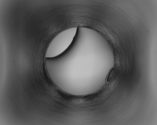 X0000088180551200705150941