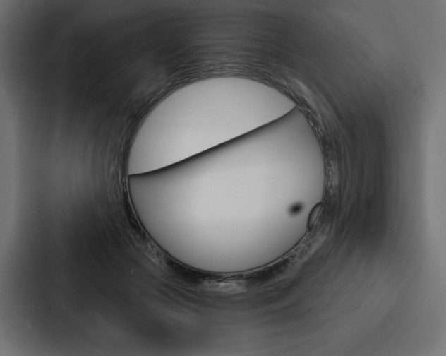 X0000088180553200705150941