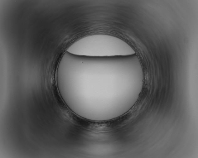 X0000088180554200705150941