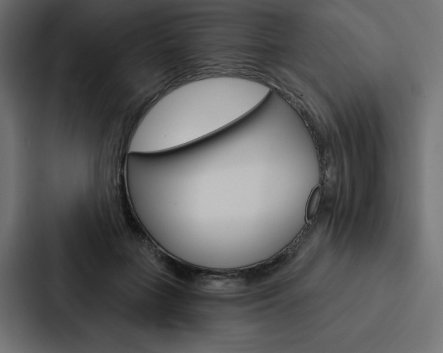 X0000088180555200705150941