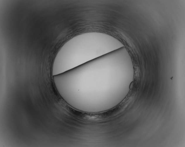 X0000088180557200705150941