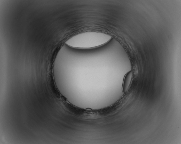 X0000088180559200705150941
