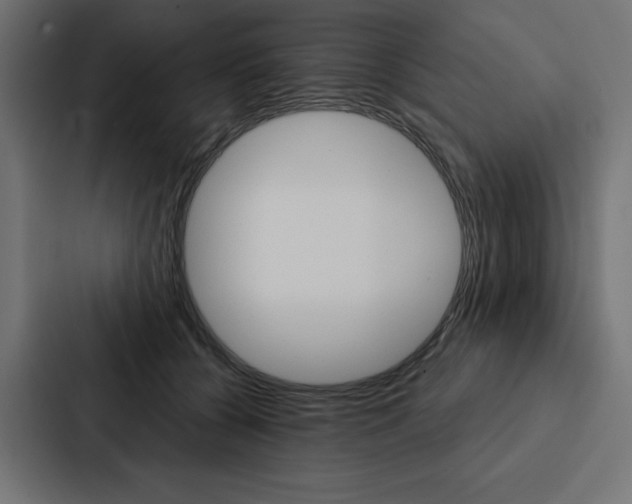 X0000088180560200705150941