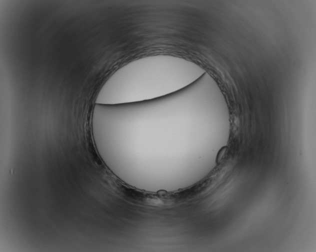 X0000088180561200705150941