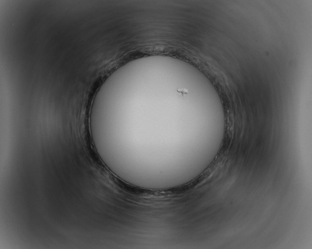 X0000088180563200705150942