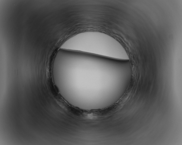 X0000088180564200705150942