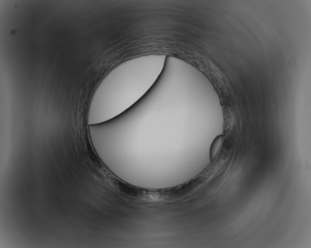 X0000088180565200705150942