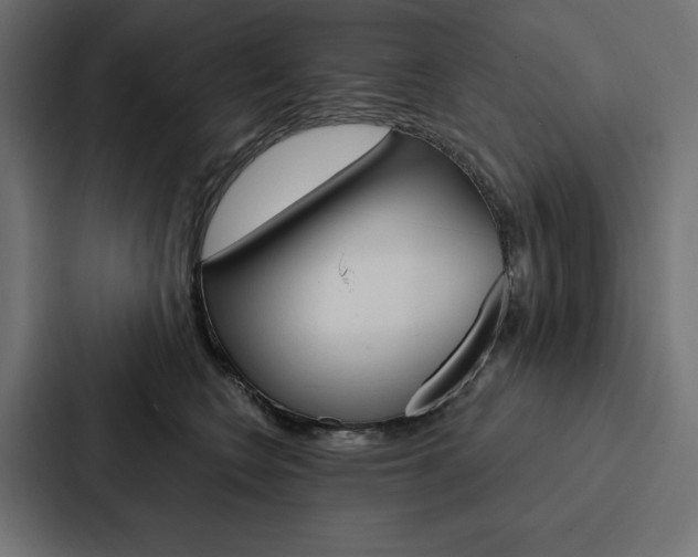 X0000088180566200705150942