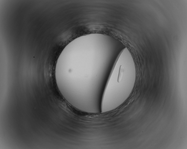 X0000088180567200705150942