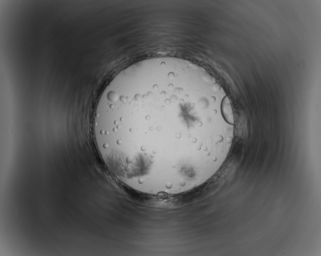 X0000088180569200705150942