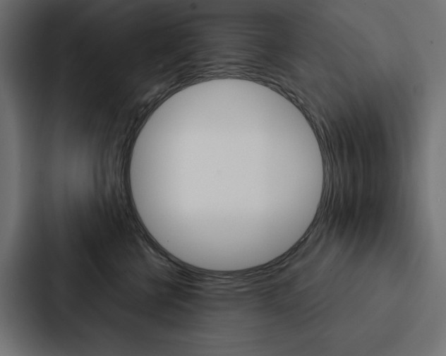X0000088180570200705150942