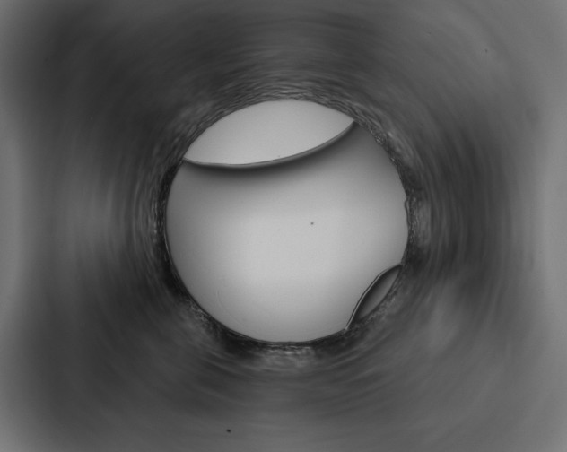 X0000088180571200705150942