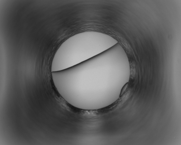X0000088180573200705150942