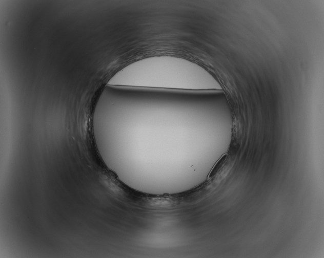 X0000088180574200705150942