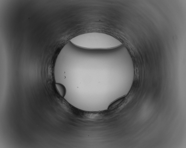 X0000088180575200705150942