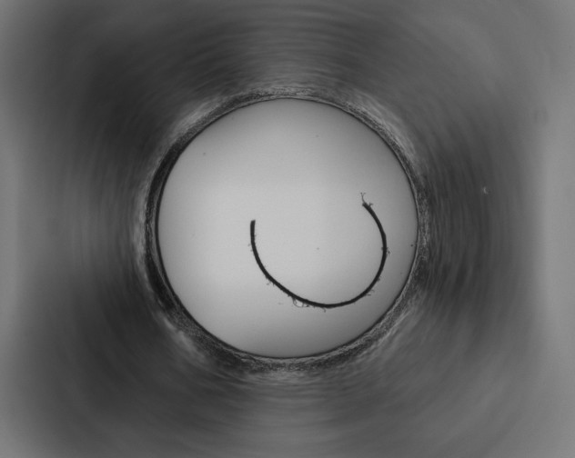 X0000088180578200705150941