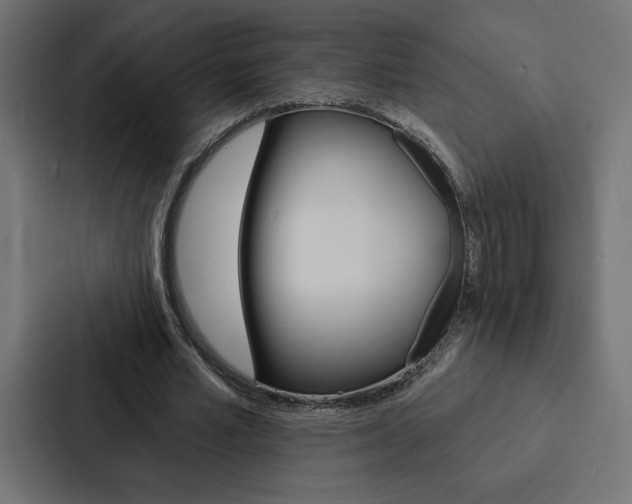 X0000088180581200705150941