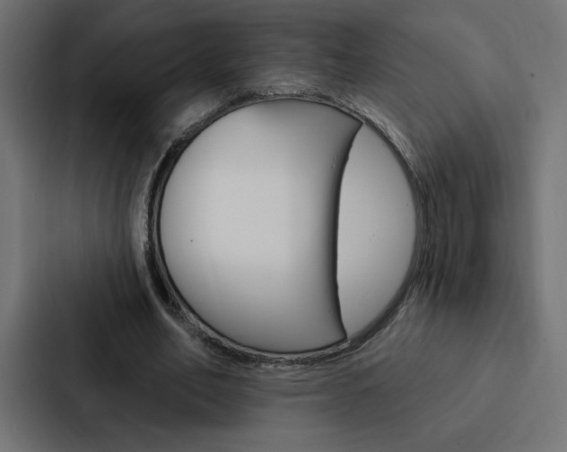 X0000088180582200705150941
