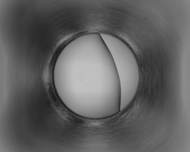X0000088180583200705150941