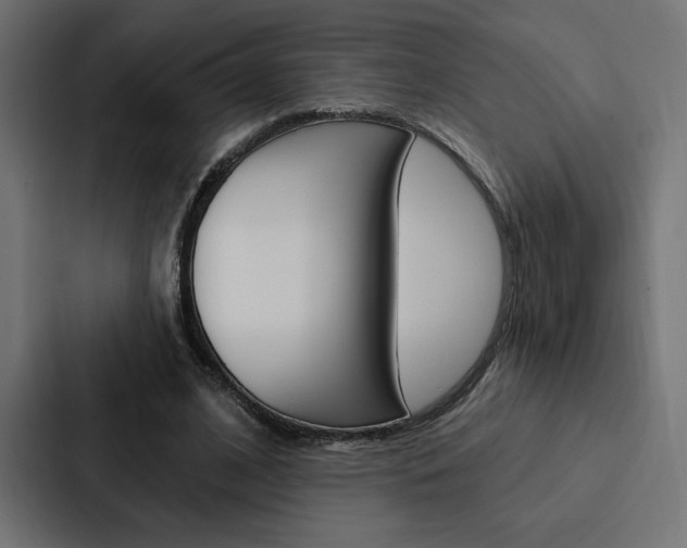 X0000088180584200705150941