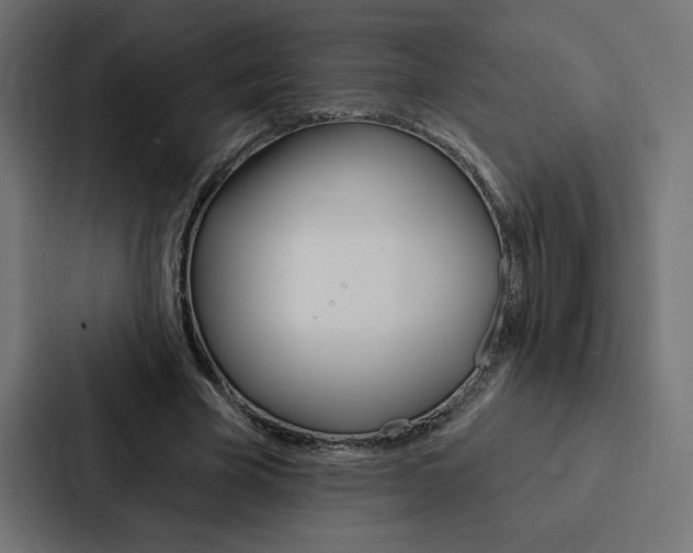X0000088180585200705150941