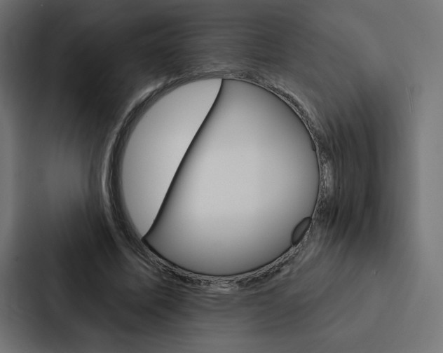 X0000088180587200705150941