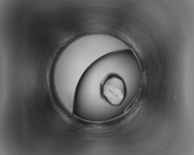 X0000088180589200705150941