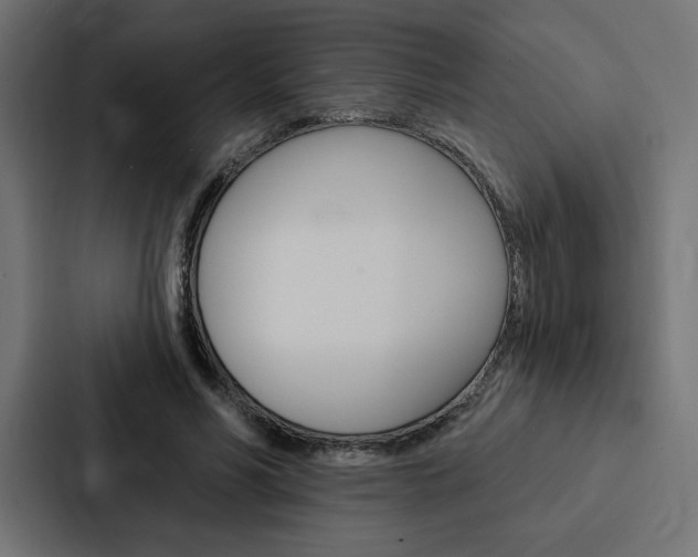 X0000088180590200705150941