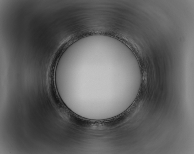 X0000088180591200705150941