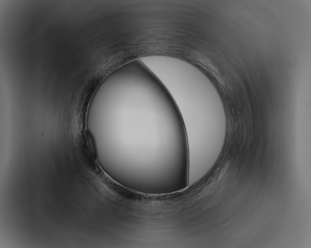 X0000088180593200705150941