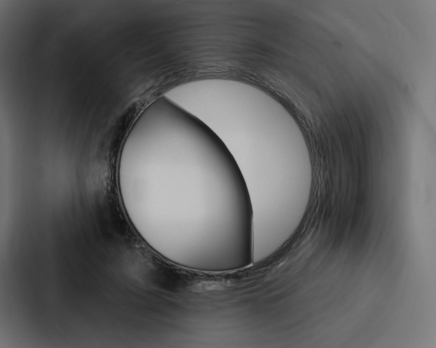 X0000088180595200705150941