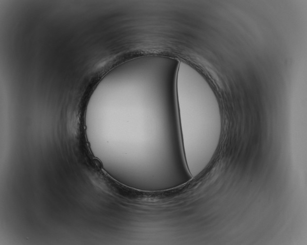 X0000088180596200705150941