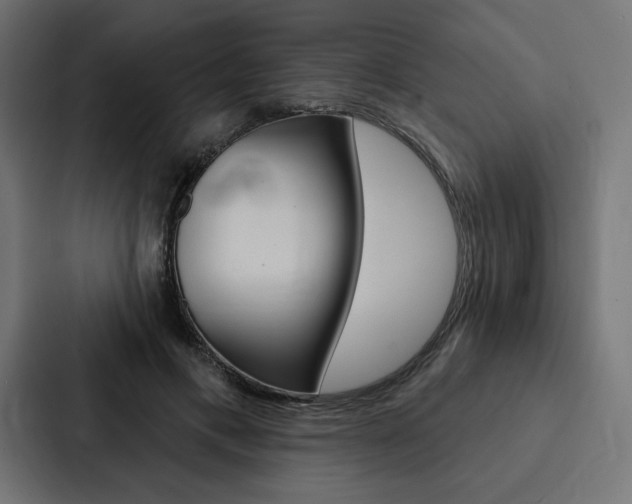 X0000088180597200705150941