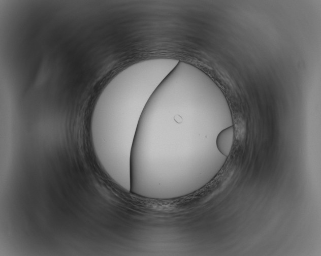 X0000088180599200705150941
