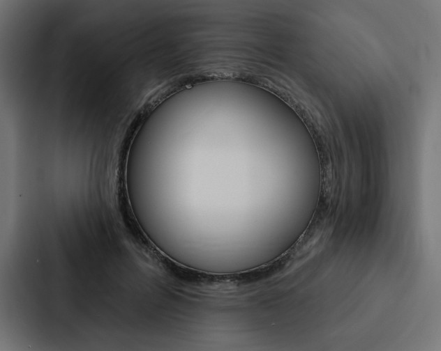 X0000088180600200705150941