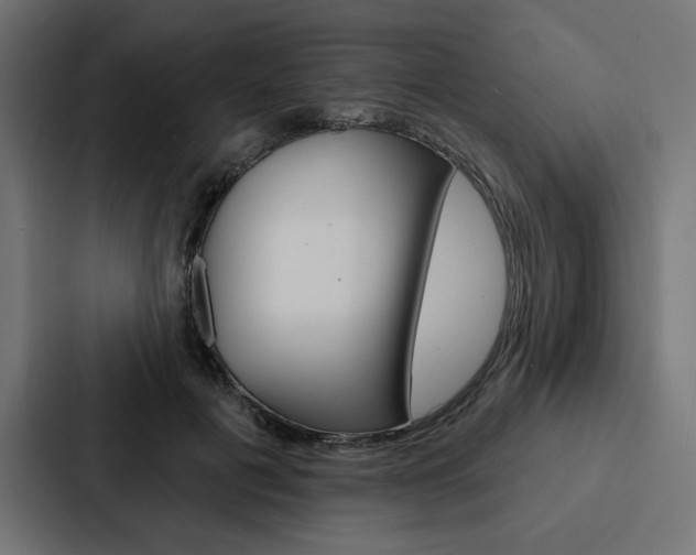 X0000088180601200705150941