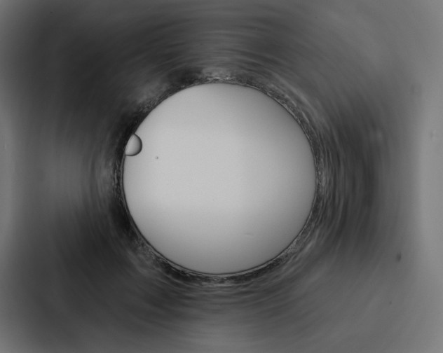 X0000088180603200705150941