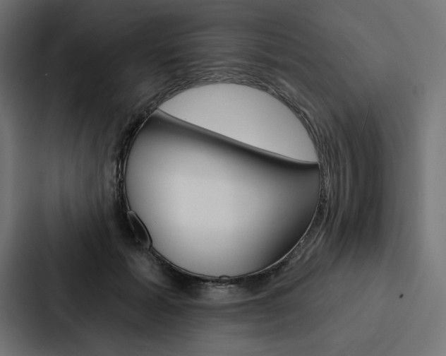 X0000088180605200705150941