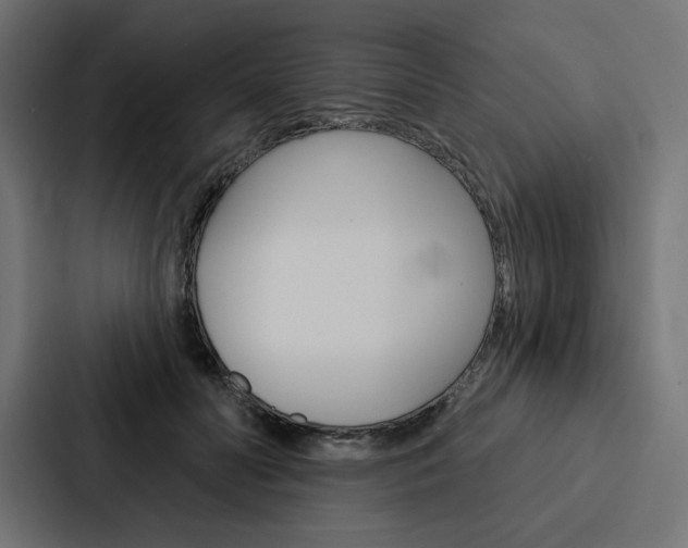 X0000088180606200705150941