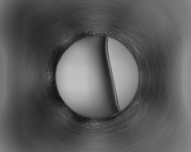 X0000088180608200705150941