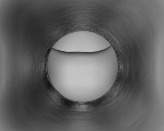 X0000088180610200705150941