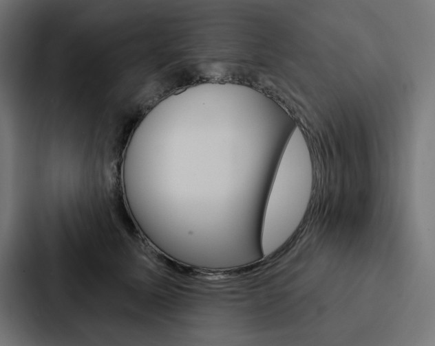 X0000088180611200705150941