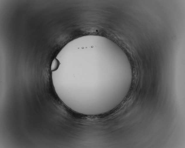 X0000088180612200705150941