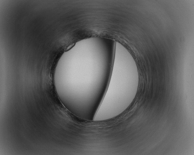 X0000088180613200705150941