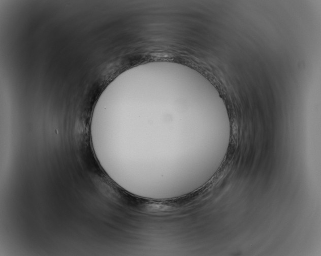 X0000088180614200705150941