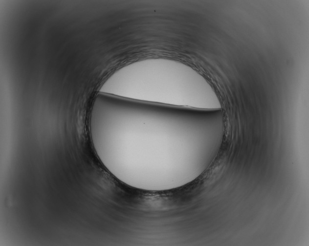 X0000088180616200705150941