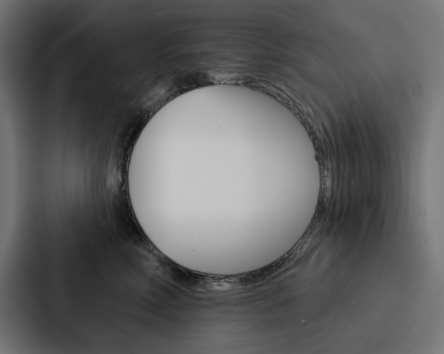 X0000088180618200705150941