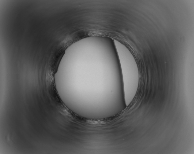 X0000088180621200705150940